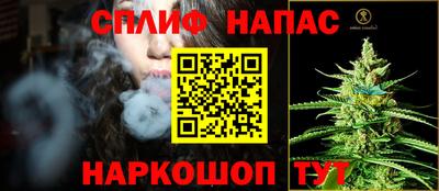 МДПВ Чапаевск