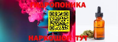 МДПВ Чапаевск