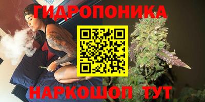 индика Чебоксары