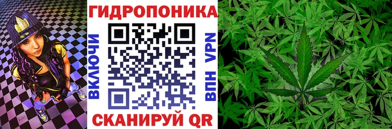 Бошки марихуана гибрид  Алексин 
